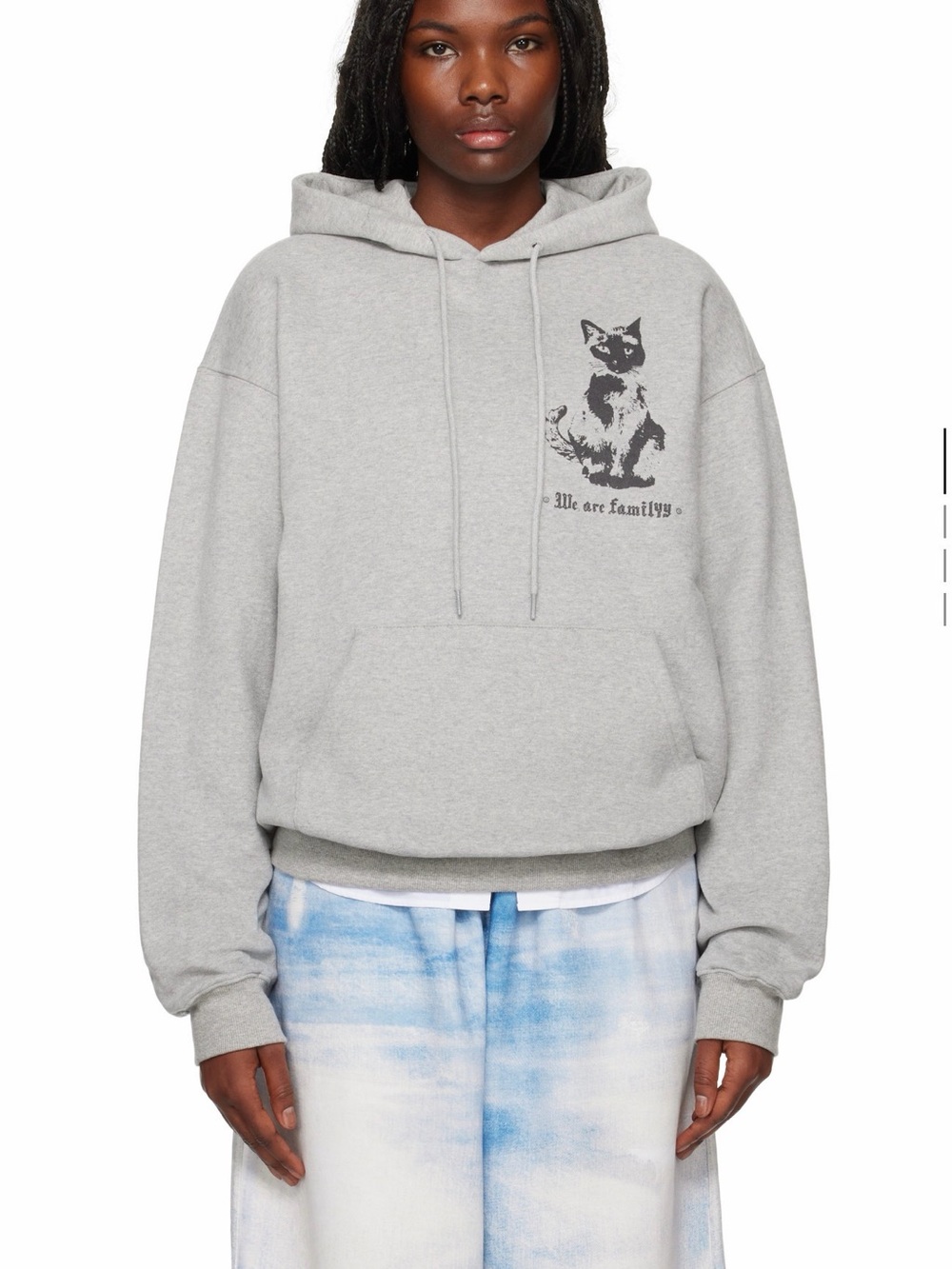 We Are Family Gray Cat Graphic Hoodie - Pets Cat Apparel